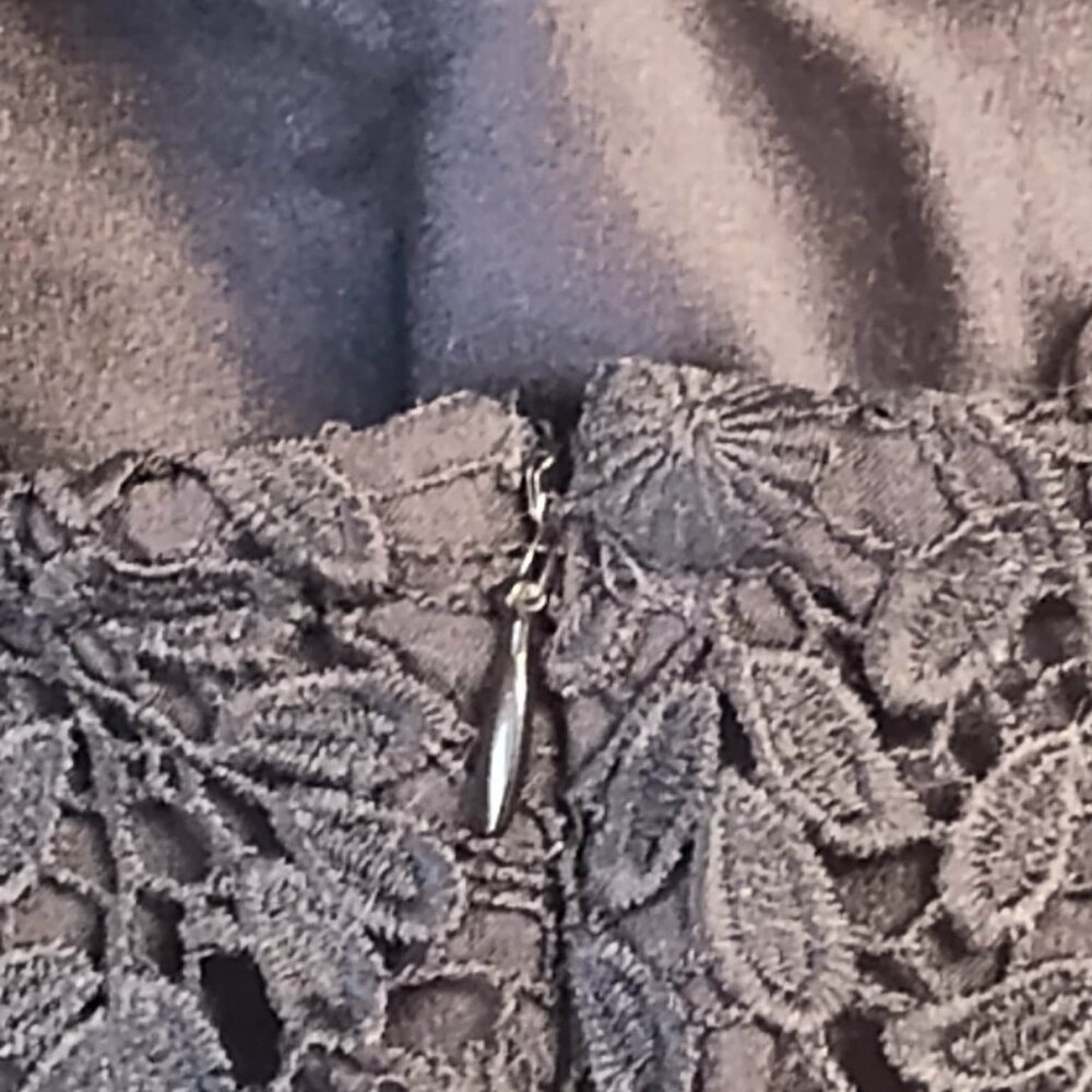 Garnet Hill BLACK Lace-Overlay, A-Line skirt, Size 10 - Picture 9 of 14